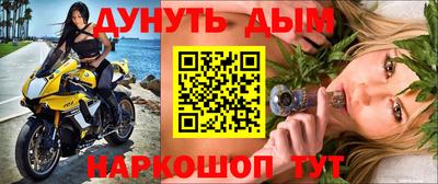 спайс Гай