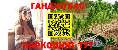 гидра Волжск