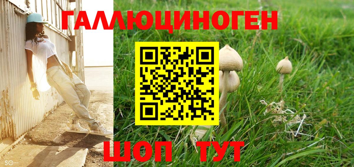 сколько стоит  Галлюциногенные грибы GOLDEN TEACHER  Вход с VPN  Балаково  Галлюциногенные грибы Psilocybine cubensis 